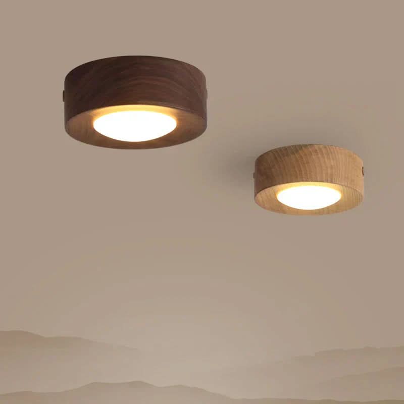 Round Flush Mount LED Ceiling Light