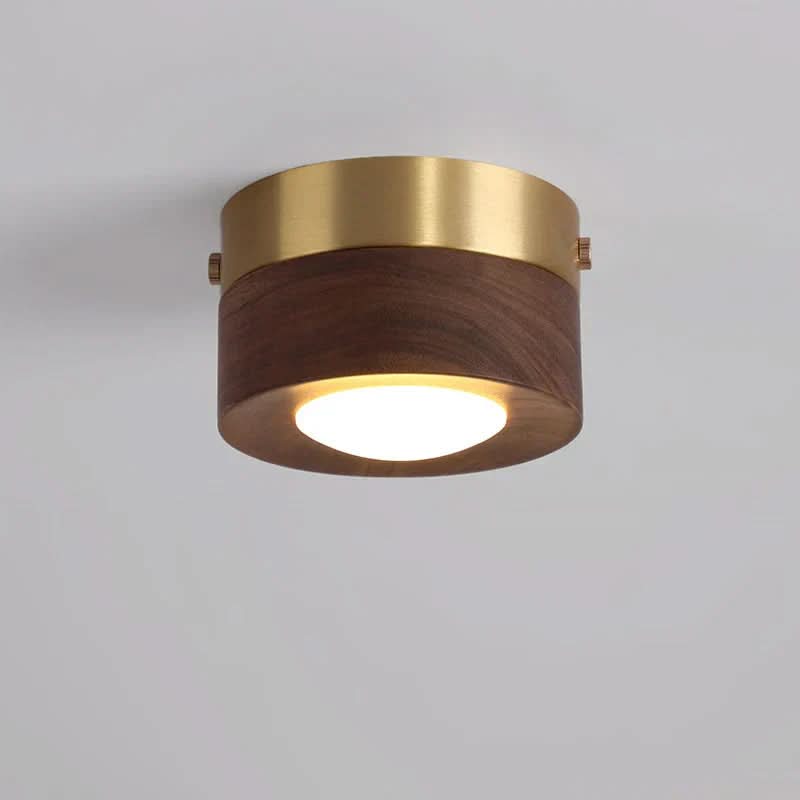 Round Flush Mount LED Ceiling Light