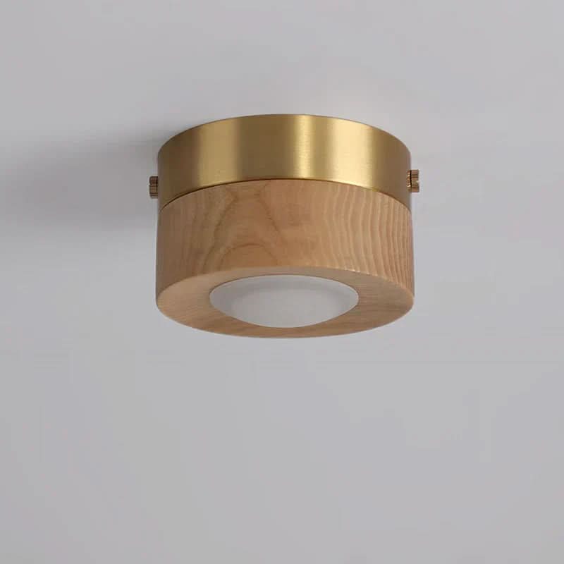 Round Flush Mount LED Ceiling Light
