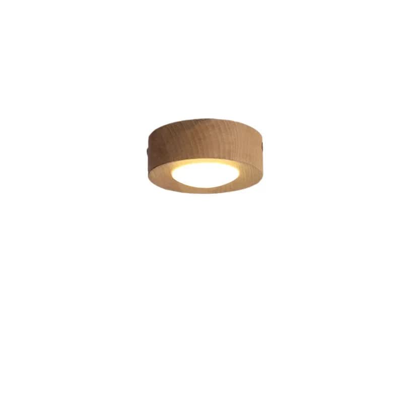 Round Flush Mount LED Ceiling Light
