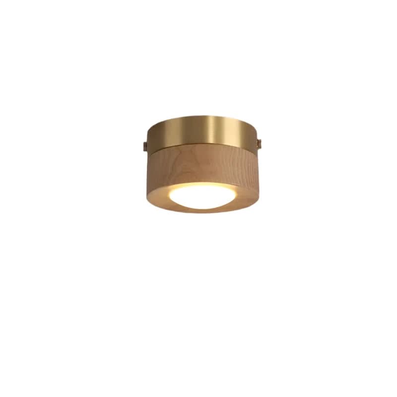 Round Flush Mount LED Ceiling Light