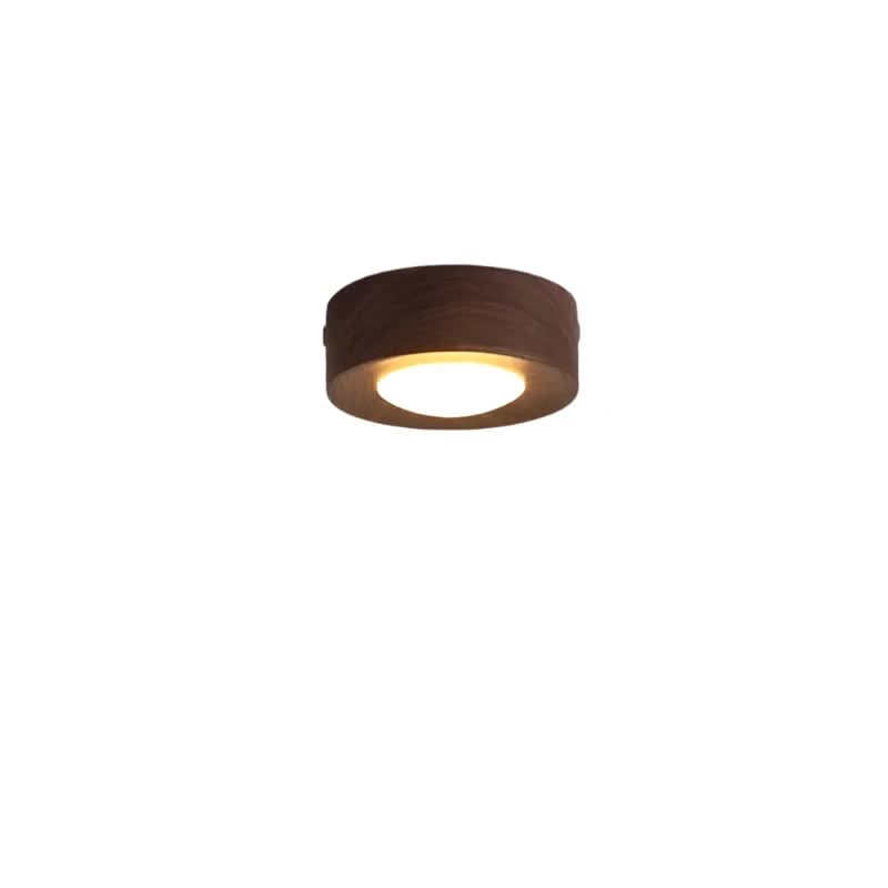 Round Flush Mount LED Ceiling Light