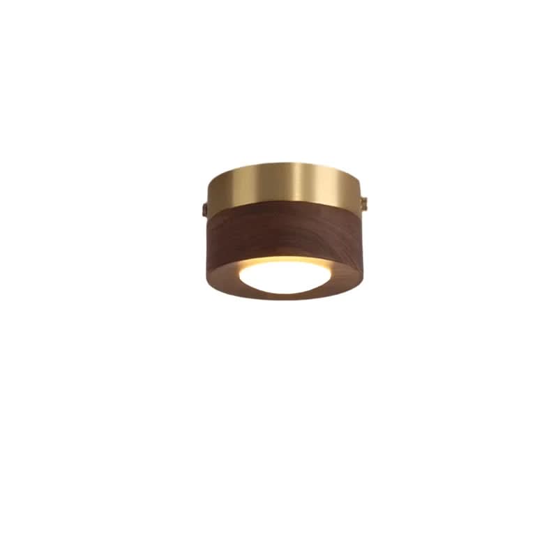Round Flush Mount LED Ceiling Light