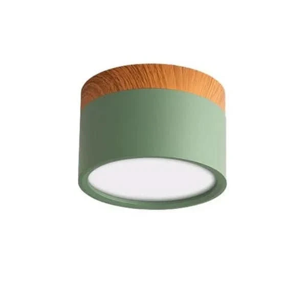 Minimalist Round LED Ceiling Light