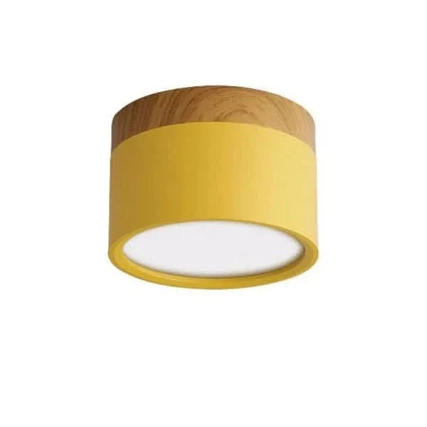 Minimalist Round LED Ceiling Light