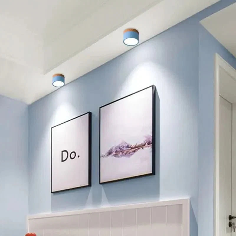 Minimalist Round LED Ceiling Light