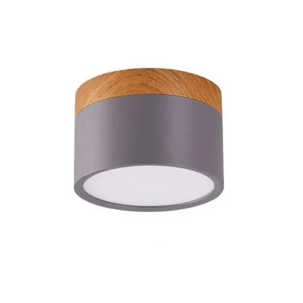 Minimalist Round LED Ceiling Light