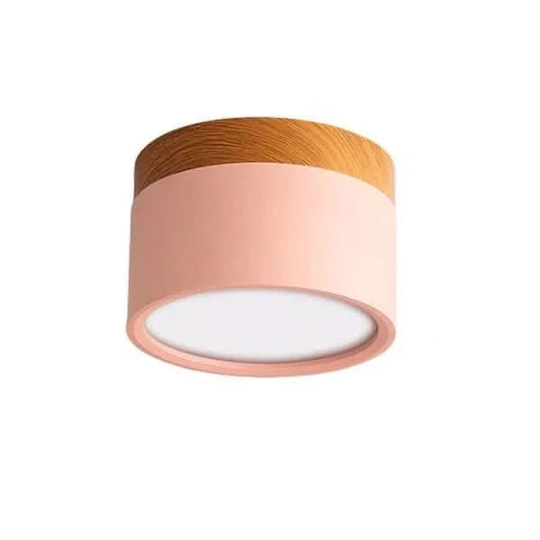 Minimalist Round LED Ceiling Light