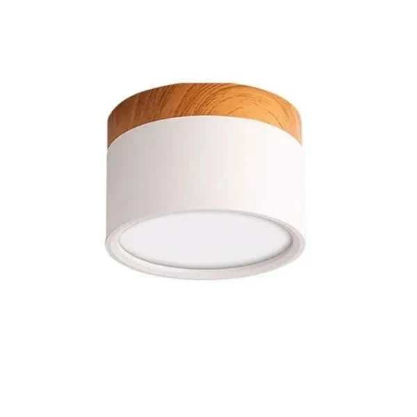 Minimalist Round LED Ceiling Light