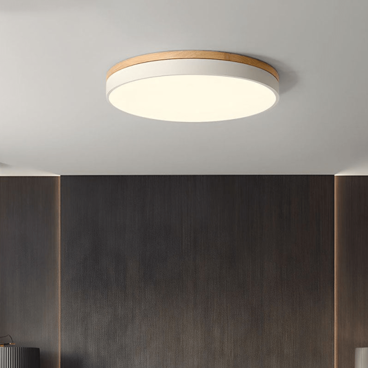 Modern LED Flush Mount Round Ceiling Light