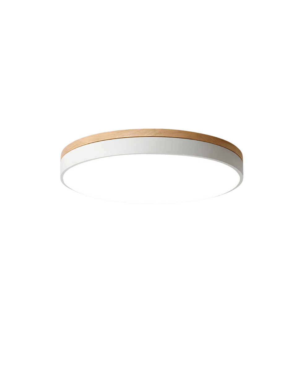 Modern LED Flush Mount Round Ceiling Light