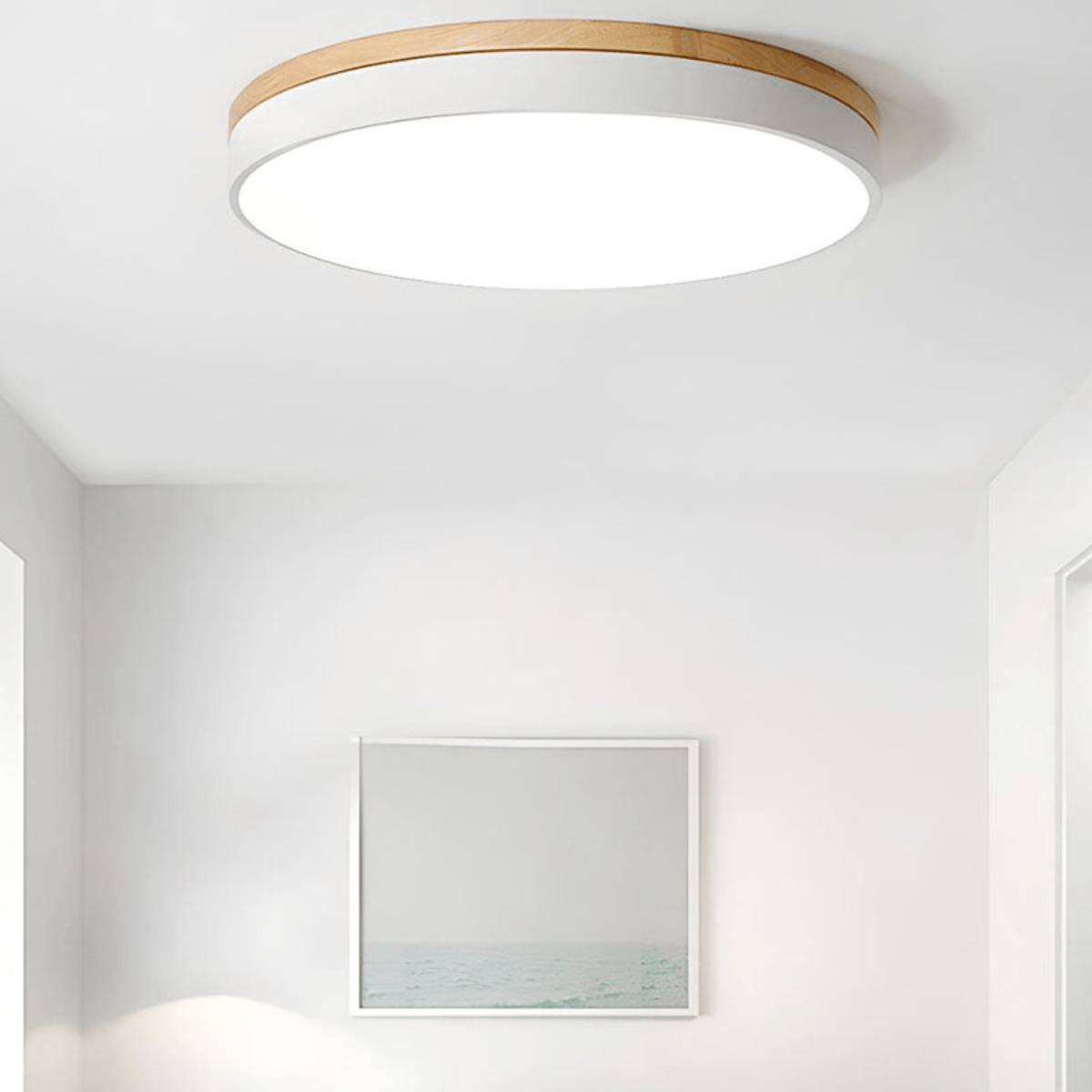 Modern LED Flush Mount Round Ceiling Light