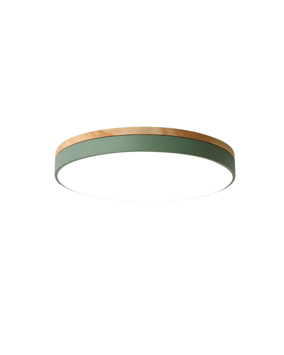 Modern LED Flush Mount Round Ceiling Light