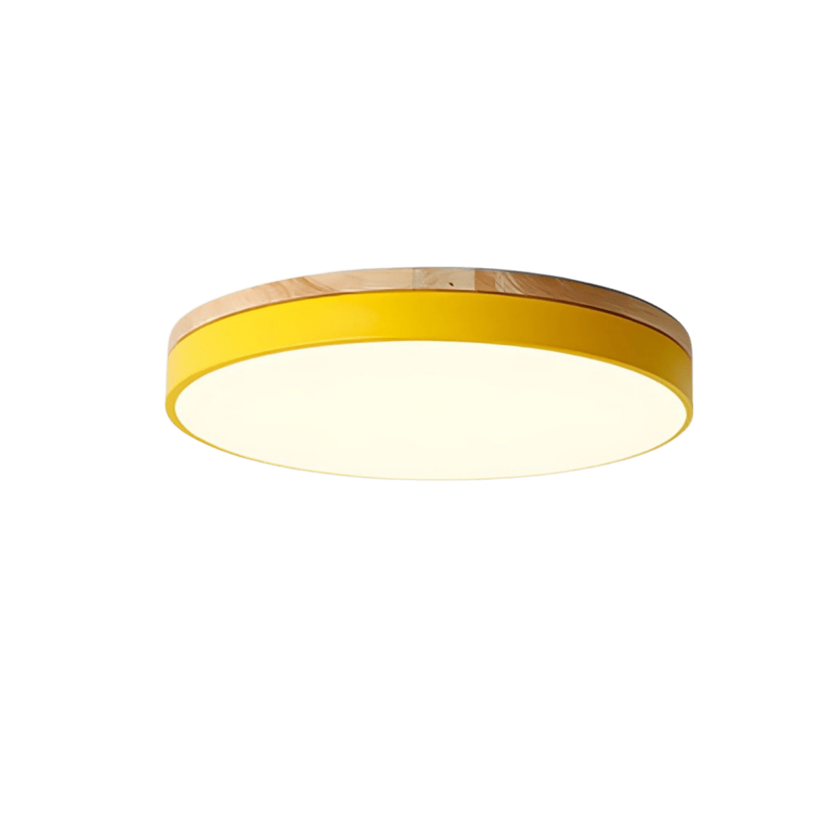 Modern LED Flush Mount Round Ceiling Light