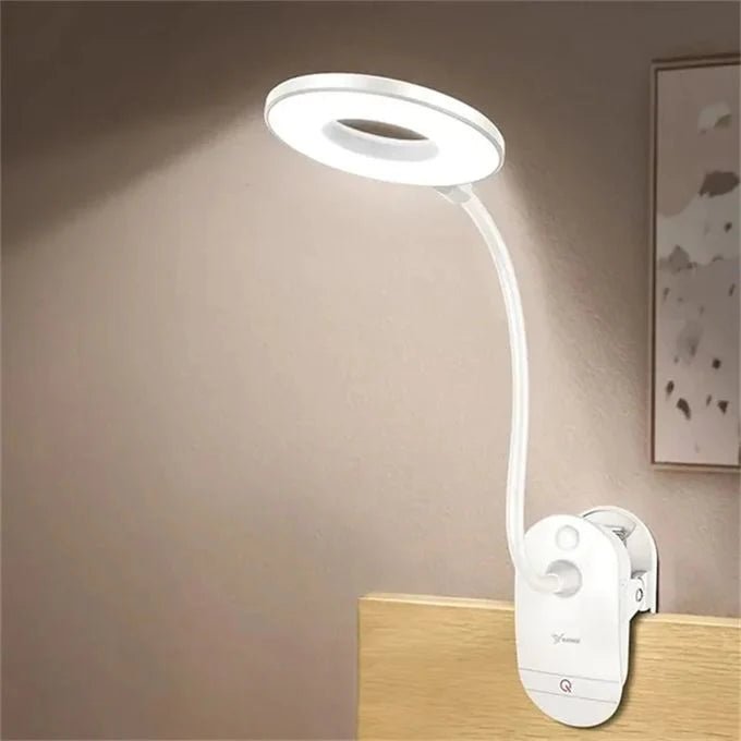 Clip-On LED Desk Lamp with Flexible Gooseneck