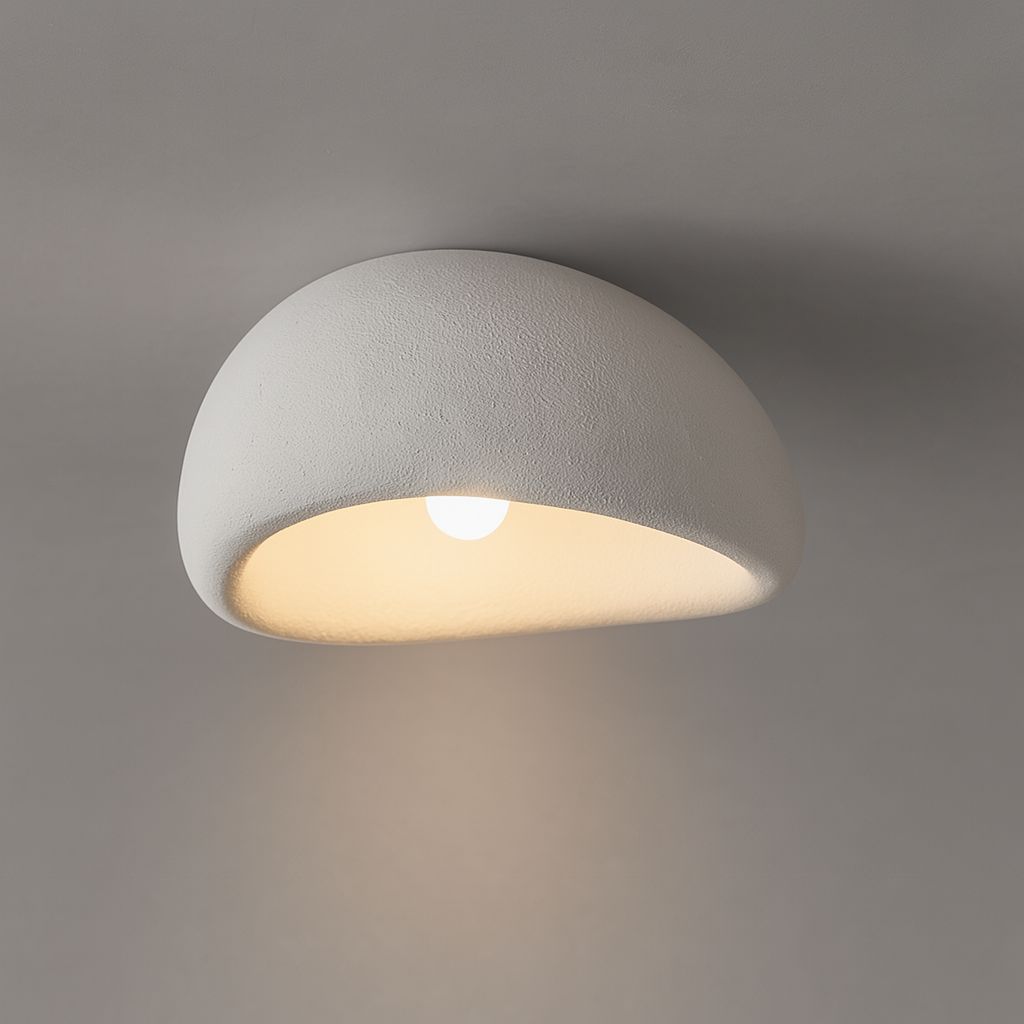 Modern Dome Ceiling Light